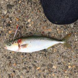 朝練 ツバスゲーム