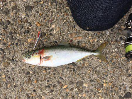 朝練 ツバスゲーム