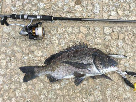 トップゲーム始動!!