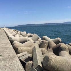 のべ竿を使いたくて使いたくて！