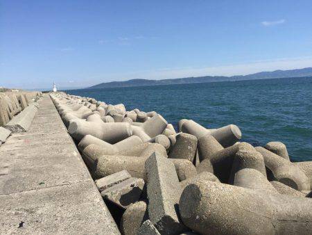 のべ竿を使いたくて使いたくて！