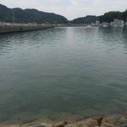 出張先での休日