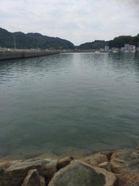 出張先での休日