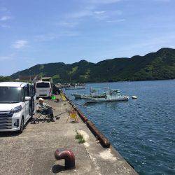 ちょい投げ釣り