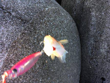 ランガンソルティング