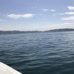 美味しいアジ爆釣したいなぁ