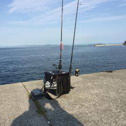 淡路島キス釣り＋いつもの…