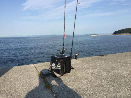 淡路島キス釣り＋いつもの…