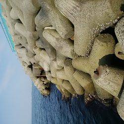 穴釣りのちメバリング