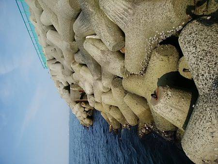 穴釣りのちメバリング