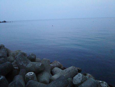 なんとか1パイ！