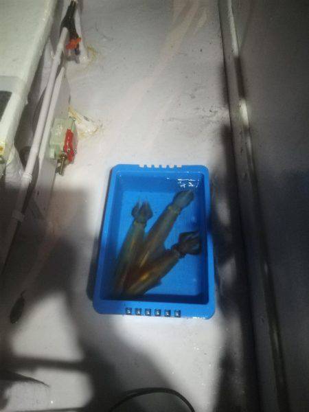 イカ釣り体験にて