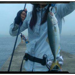 鰤は出ませんでした　（泣）