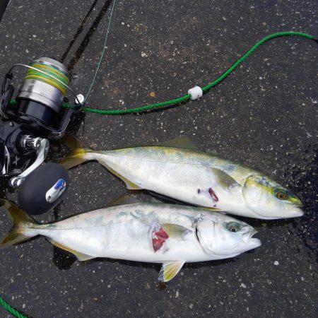 ショアジギング