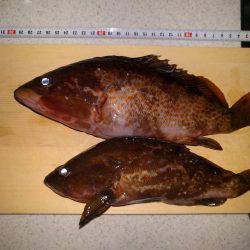 真夜中からの釣行