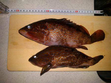 真夜中からの釣行