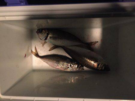 爆風後になんとかキャッチ