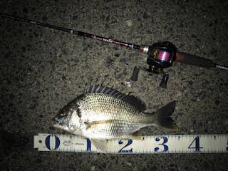 場所を変えて壁ドンチニング