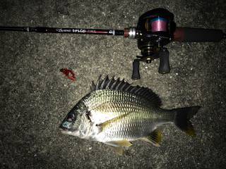 切られまくりのチニング釣行