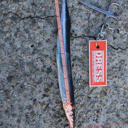 春イカ狙うも！？