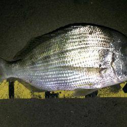 ドラグが叫ぶ！