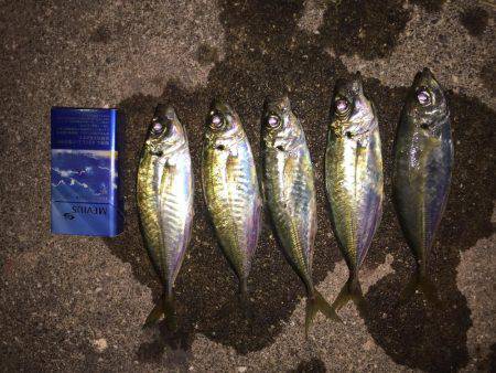 強風の中で……