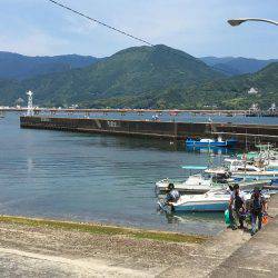 キスがポツポツ