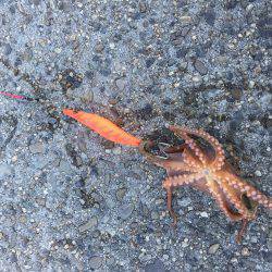 久しぶりに、、。