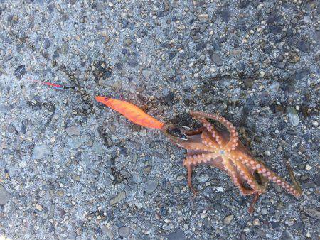 久しぶりに、、。