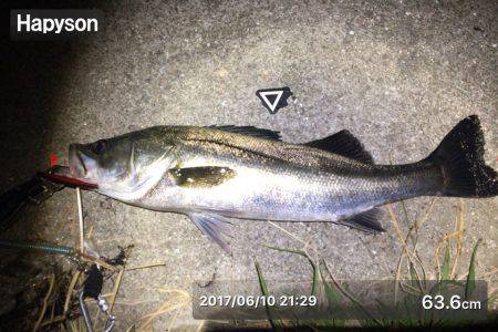 バチパターンまだまだいけます