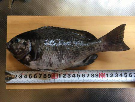 根本にかけておくと...