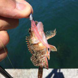 BBQついでにー♪