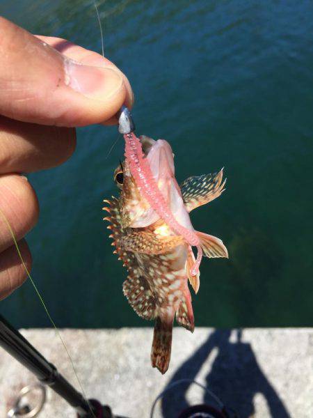 BBQついでにー♪