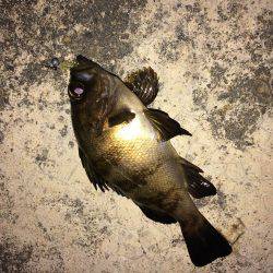 西風ポイントにて