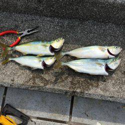 エソと思いきや