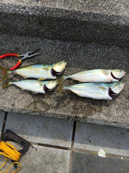 エソと思いきや