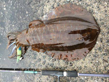 ２キロアップ！