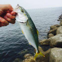 休憩時間にまさかヒット