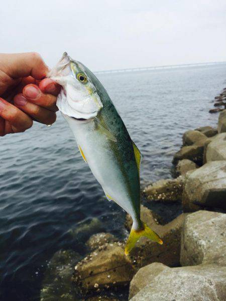 休憩時間にまさかヒット