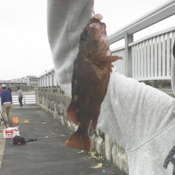 エギング、穴釣り