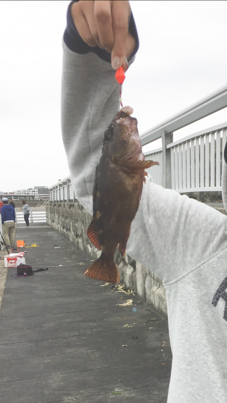 エギング、穴釣り