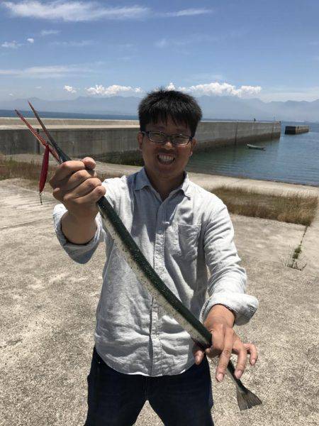 ダツ、ベラ、キス