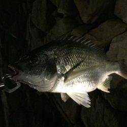 仕事帰りチニング