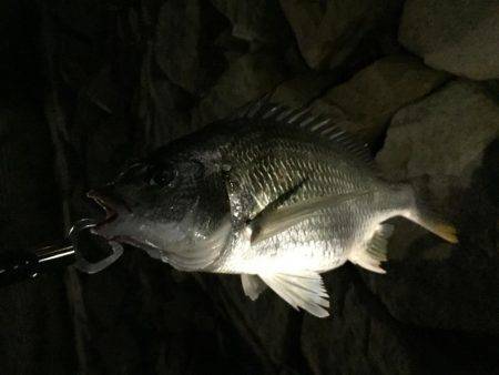 仕事帰りチニング