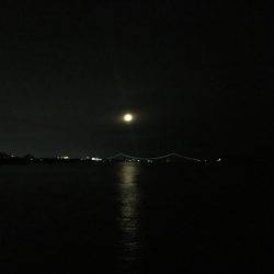 久しぶりの明石エリアでメバリング