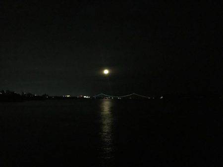 久しぶりの明石エリアでメバリング