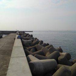 ちょい投げキス釣り