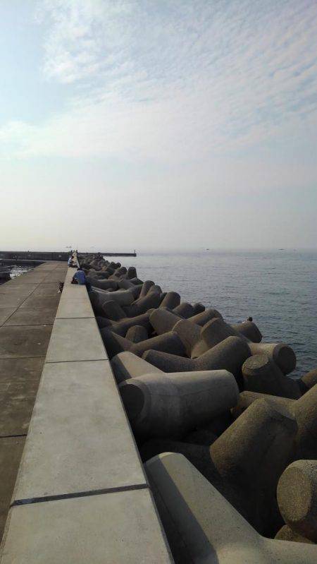 ちょい投げキス釣り