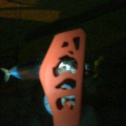 アジングのちツバス