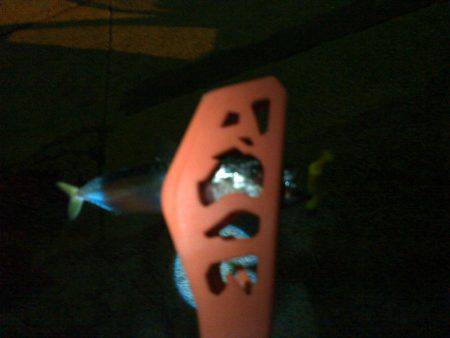 アジングのちツバス